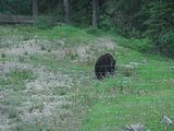 123 - Banff,Lake Louise,Morraine Lake  - IMGA0093